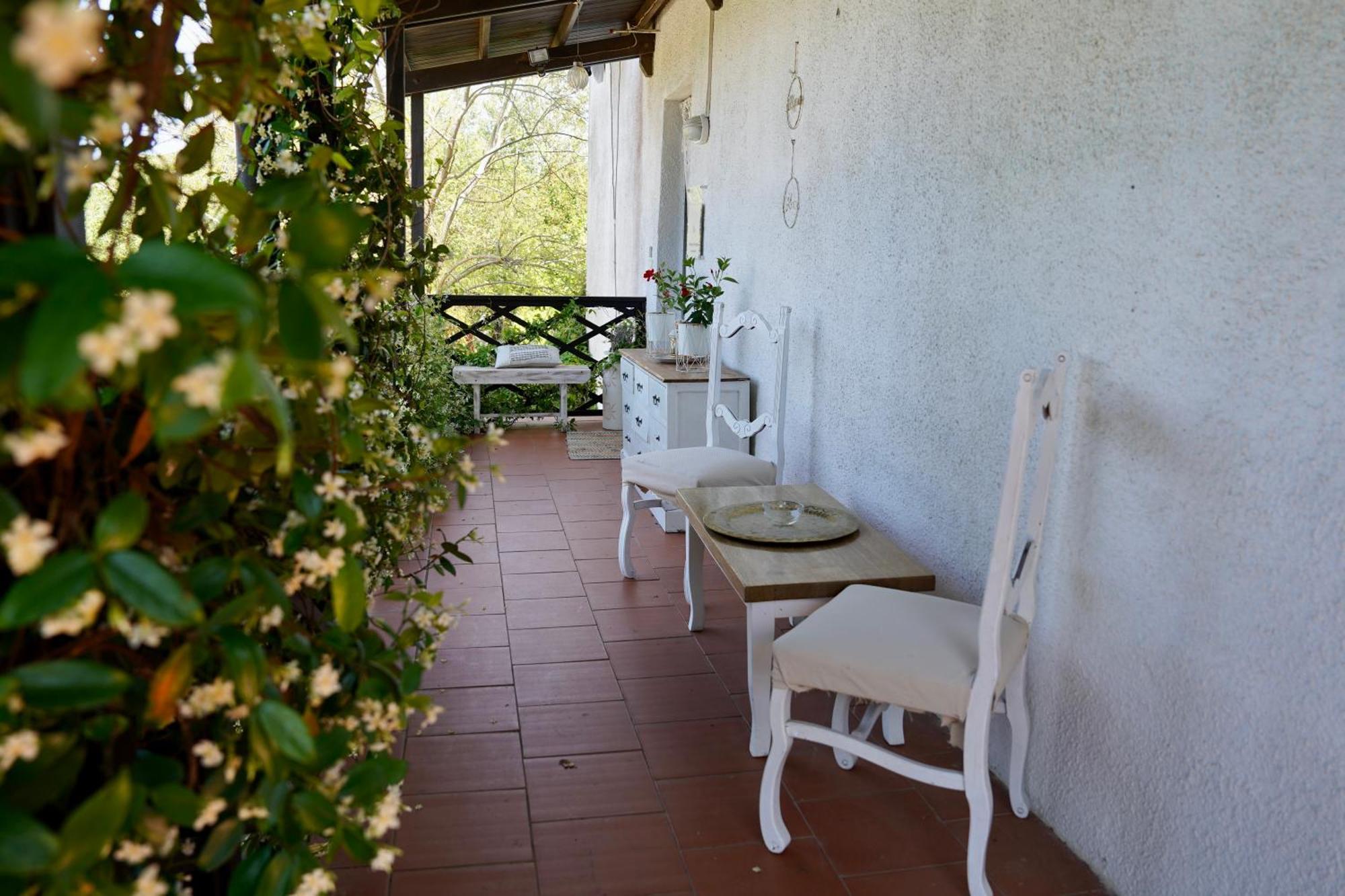 B&B Il Piccolo Paradiso Montenero  Eksteriør bilde